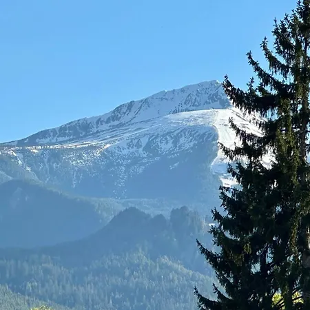 ゲストハウス Kaloyanova House 3*