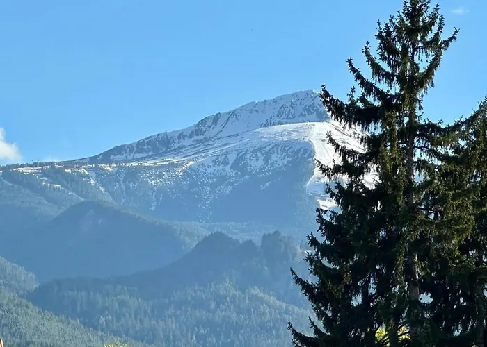 게스트하우스 Kaloyanova House 3*