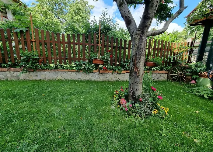 招待所 Kaloyanova House